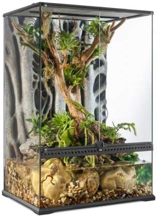 Terrario de cristal Exo Terra Paludario Med con fondo decorativo de raíces y plantas.